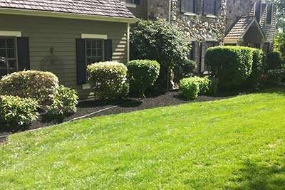 Landscaping Services